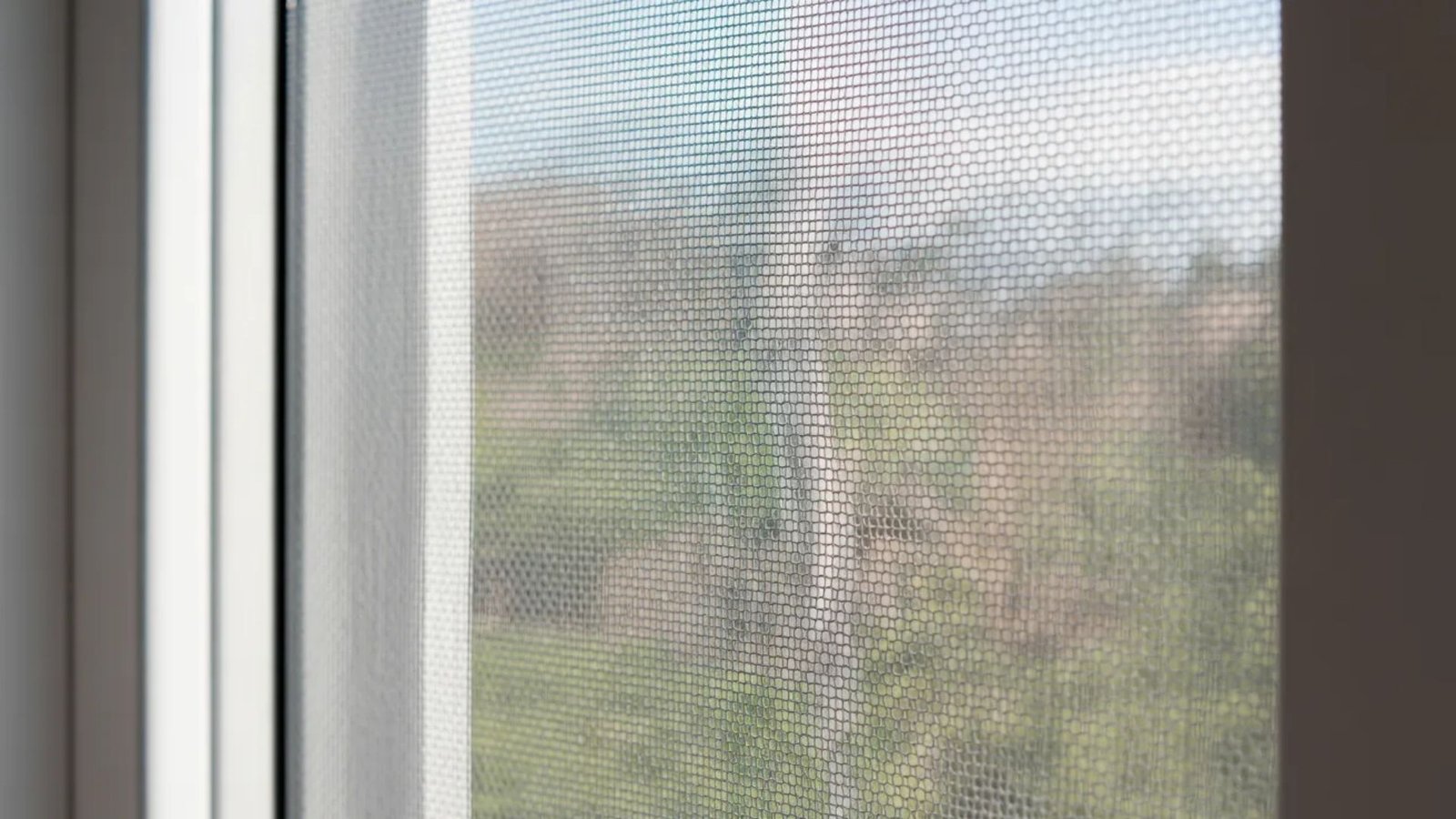 An open window with a screen, allowing fresh air and light to enter the room.